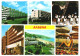Albena Black Sea Resort Bulgaria 1983 Unused Multi-view Postcard. Publisher Septemvri, Bulgaria - Bulgarije