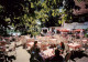 73787308 Bonndorf Ueberlingen Hoehengasthaus Haldenhof Hotel Restaurant Terrasse - Ueberlingen