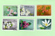 Pologne - Polska Lot 48 Timbres Les Fleurs - Collections