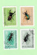 Delcampe - Pologne - 58 Timbres Animaux - Poissons Insectes Chevaux Oiseaux Chiens Chats Oiseaux Serpents Grenouilles Tortue Singe - Colecciones