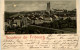 Souvenir De Fribourg - Litho - Fribourg