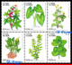 Ref. BR-V2024-03 BRAZIL 2024 - UNCONVENTIONAL FOOD PLANTS, PANC, FLOWERS & PLANTS, SET MNH, 6V, SET MNH - Nuovi