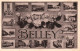 Belley - Souvenir De La Commune - Multivues - Belley