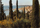 06-MENTON-N°3772-A/0229 - Menton