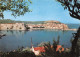 66-COLLIOURE-N°3779-C/0275 - Collioure