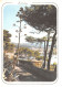 83-SANARY-N°3780-A/0249 - Sanary-sur-Mer