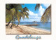 971-GUADELOUPE PLAGE DE SAINTE ANNE-N°3783-B/0085 - Sonstige & Ohne Zuordnung