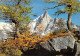 74-CHAMONIX MONT BLANC-N° 4419-C/0037 - Chamonix-Mont-Blanc