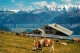 12858248 Beatenberg Berghaus Niederhorn Almvieh Kuehe Panorama Berner Alpen Beat - Altri & Non Classificati