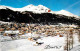 12849061 Davos GR Schatzalp Strelapass Schiahoernern Davos - Autres & Non Classés