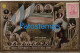 227882 ARGENTINA CENTENARY PATRIOTIC HERALDRY FLAG PASO DE LOS ANDES MULTI PROCER CIRCULATED TO FRANCE POSTAL POSTCARD - Argentinien