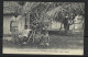 Cook Islands 1914 B & W Picture Post Card PPC Of Coconut Tree Commercially Used To USA , Nice Condition - Islas Cook