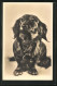 AK Porträt Eines Langhaar-Dackel  - Hunde