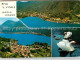 12750101 Riva San Vitale Lago Di Lugano Luganersee Schwaene Riva San Vitale - Altri & Non Classificati