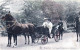 LAEKEN - BRUXELLES - La Princesse Clementine En Promenade - Bel Attelage De Chevaux - Laeken