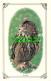 R535776 An Owl. Photo Precision Limited. Colourmaster International - Monde