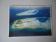 MALDIVES   POSTCARDS  1984 FARU AIRPORT   WITH STAMPS   FOR MORE PURCHASES 10% DISCOUNT - Maldives