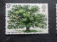 Grande Bretagne Great Britain Chêne Marronnier D'Inde Oak Eik Eiche Roble Trees Chestnut Tree Boom Bäum árbol Albero - Árboles