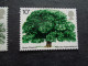 Grande Bretagne Great Britain Chêne Marronnier D'Inde Oak Eik Eiche Roble Trees Chestnut Tree Boom Bäum árbol Albero - Árboles