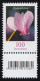3365 Alpenveilchen 100 Cent Aus 200er-Rolle, KLEINE Nummer + CF (offene 4) ** - Rollenmarken