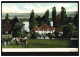 Foto-AK Landschaftsbild Mit Häusern Am See Ochsengespann, Ungebraucht, Um 1920 - Sonstige & Ohne Zuordnung