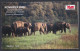 Inde India 2006 Mint Stamp Booklet Elephant Herd, Kovaipex, Stamp Exhibition, Elephants, Animal, Animals - Altri & Non Classificati