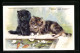 AK Zwei Junge Katzen Am Goldfischteich  - Chats