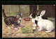 AK Junge Katze Und Zwei Kaninchen  - Chats