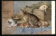 AK Katzenfamilie In Einem Stall  - Katzen