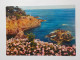 Delcampe - LA MEDITERRANEEN ( Dept 06-83-13-Cote D'Azur)   56 Cartes  A 0.20 Euros L'une - Altri & Non Classificati