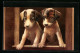 Lithographie Zwei Hundewelpen Im Sonnenschein  - Honden