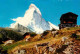 12653043 Winkelmatten Mit Matterhorn Bei Zermatt Winkelmatten - Andere & Zonder Classificatie