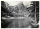 12652062 Seealpsee Berggasthof Forelle Appenzeller Alpen Seealpsee - Autres & Non Classés