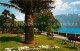 12646542 Locarno Lago Maggiore Lungolago Uferpromenade Palmen Alpen Locarno - Other & Unclassified