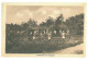 RO 87 - 17370 FOCSANI, Garden, Romania - Old Postcard - Unused - Romania