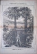 Giornale Illustrato Dei Viaggi 1 Luglio 1880 Uragano Fiume Hudson Pesca Balena - Avant 1900
