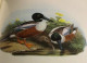 Les Oiseaux D'europe / 2 Tomes / Reproductions En Couleurs De John Gould's - Natuur