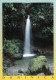 1 AK Dominica * Emerald Pool Mit Wasserfall - Liegt Im Nationalpark Morne Trois Pitons - Seit 1997 UNESCO Weltnaturerbe - Dominique
