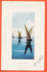 30418 / ⭐ GENEVE 23 Aout 1909 Barques Lemanes Sur Lac LEMAN à Gabrielle BARBILLAT Langres / CHARNAUX Photo 52 - Altri & Non Classificati