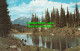 R536989 Heather Lake And Mt. Dickey. Mt. Revelstoke National Park. Taylorchrome - Monde