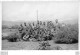 CARTE PHOTO YOUGOSLAVIE SOLDATS YOUGOSLAVES SECONDE GUERRE MONDIALE R48 - War 1939-45