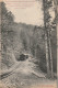 CE17 -(31) LUCHON - CHEMIN DE FER A CREMAILLERE  DE SUPERBAGNERES DANS LA FORET - 2 SCANS - Luchon