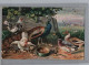 CARTOLINA F.P    PRIMI NOVECENTO ANIMALI    - N°2 - Andere & Zonder Classificatie