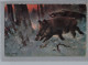 CARTOLINA F.P    PRIMI NOVECENTO ANIMALI    - N°2 - Autres & Non Classés