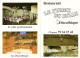 *Carte Visite Restaurant Discothèque - La Ferme Du Bulle à Chanaz (73) - Visiting Cards