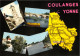 89-COULANGES SUR YONNE-N°548-A/0263 - Coulanges Sur Yonne