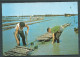 CPSM GF -  Côte Atlantique , Les Huitres Sur Ardoise  -   HAY 20036 - Fishing