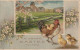 BE Nw1 - " A HAPPY EASTER TO YOU " - JOYEUSES PAQUES - CARTE GAUFREE - DECOR CHAMPETRE - POULE ET POUSSINS- 2 SCANS - Easter