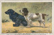 BE Nw1 - COCKERS SPANIELS - CARTE EDITEE PAR LA MANUFACTURE D' ARMES ET CYCLES DE ST ETIENNE - ILLUSTRATEUR - 2 SCANS - Perros