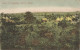 SIERRA LEONE - VIEW OF MAGBALAY - 1905 - Sierra Leona